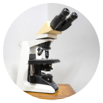 ごあいさつ イメージ01